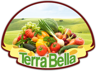Terra Bella Montreal Logo
