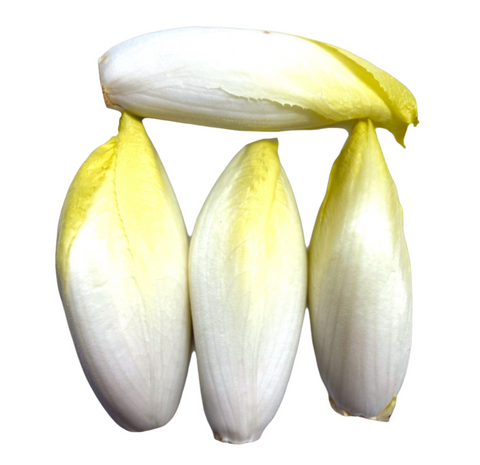 Endive