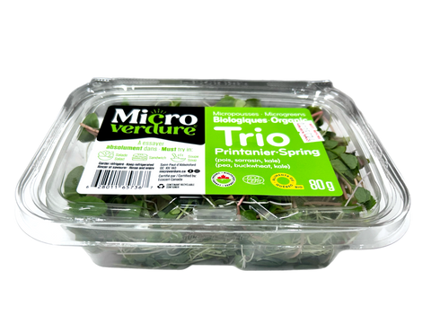 Micro Green - Trio Printainer spring