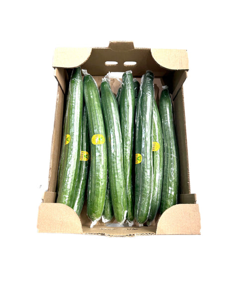 Cucumber English -12 pack