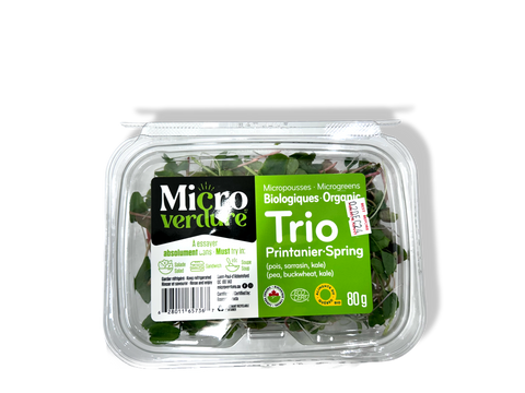 Micro Green-Trio Printainer spring