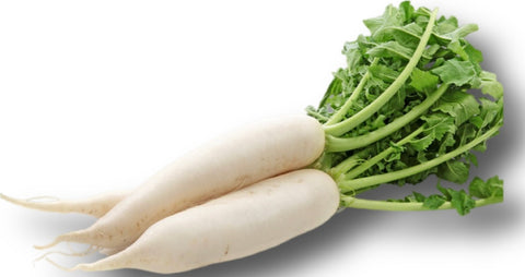 Daikon/ Radis blanc