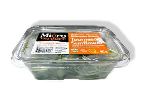 Micro Green - Tournesd sunflower