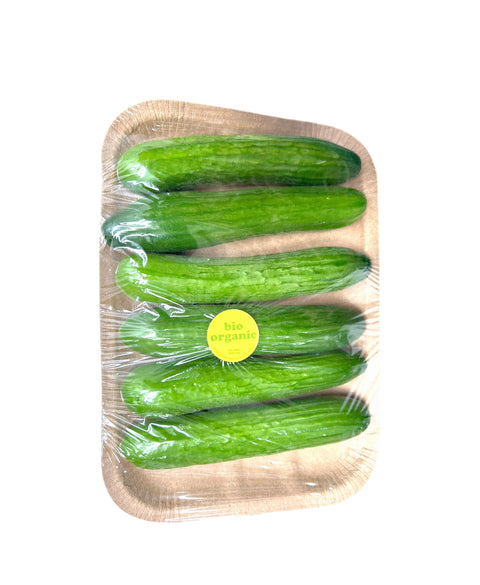 Cucumbers - Mini