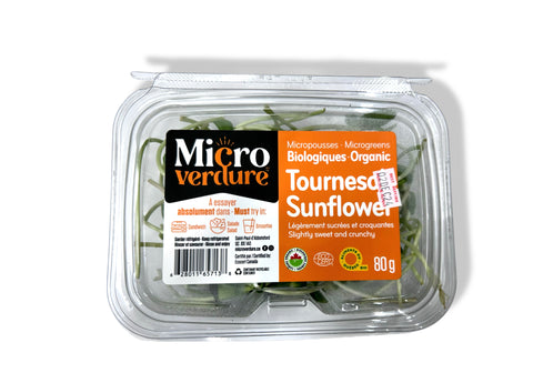 Micro Green-Tournesd sunflower