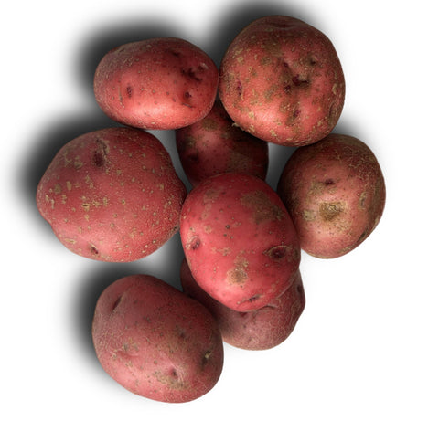 Pommes de Terre Rouges - 5lbs