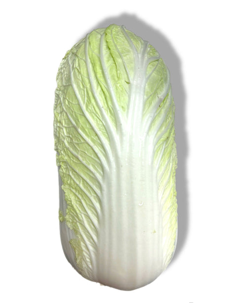 Napa  Cabbage