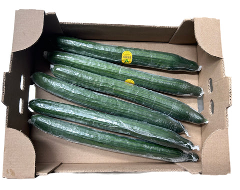 English Cucumber - 6 Units