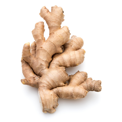 Ginger Roots - Fresh