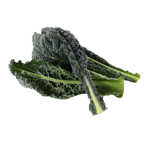 Chou Kale - Lacinato