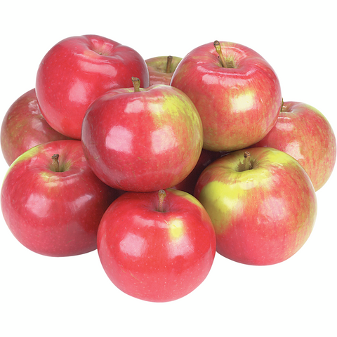 Organic Apples McIntosh