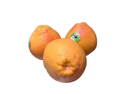 Grapefruit - 3 Pack