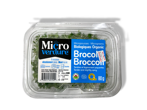 Micro Green-Broccoli