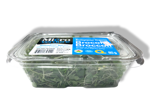 Micro Green - Broccoli