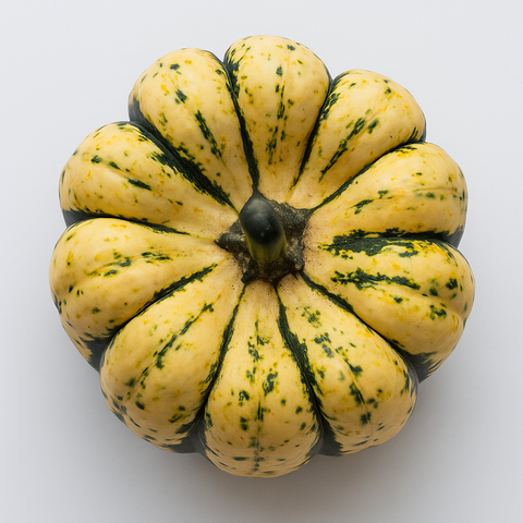 Courge sucrée bio (1un)