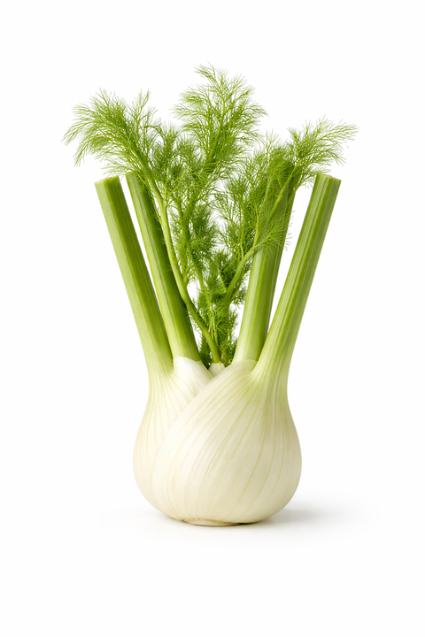 Organic Fennel