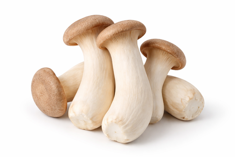 Organic Mini King Oyster Mushroom