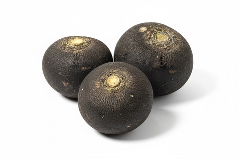 Organic Black Radish ( 1lbs)