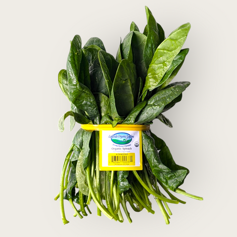 Spinach - Fresh Bunch