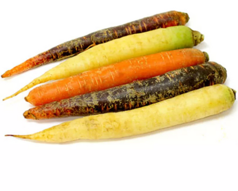 Carottes tricolores locales biologiques