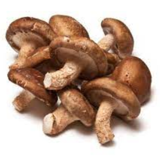 Champignons - Shiitake