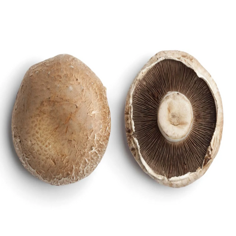 Champignons - Portobello