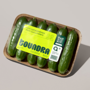 Cucumbers - Mini