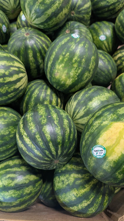 Watermelon_Organic_Montreal_terra_bella