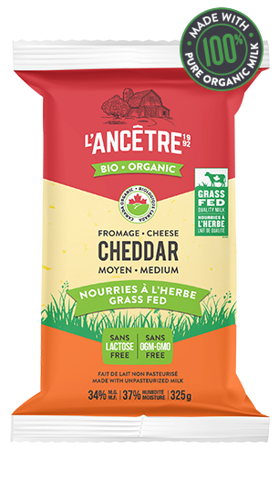 Organic Cheddar Medium (325g)