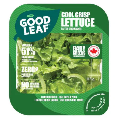 Laitue fraîche et croquante (113 g) - Sans pesticides