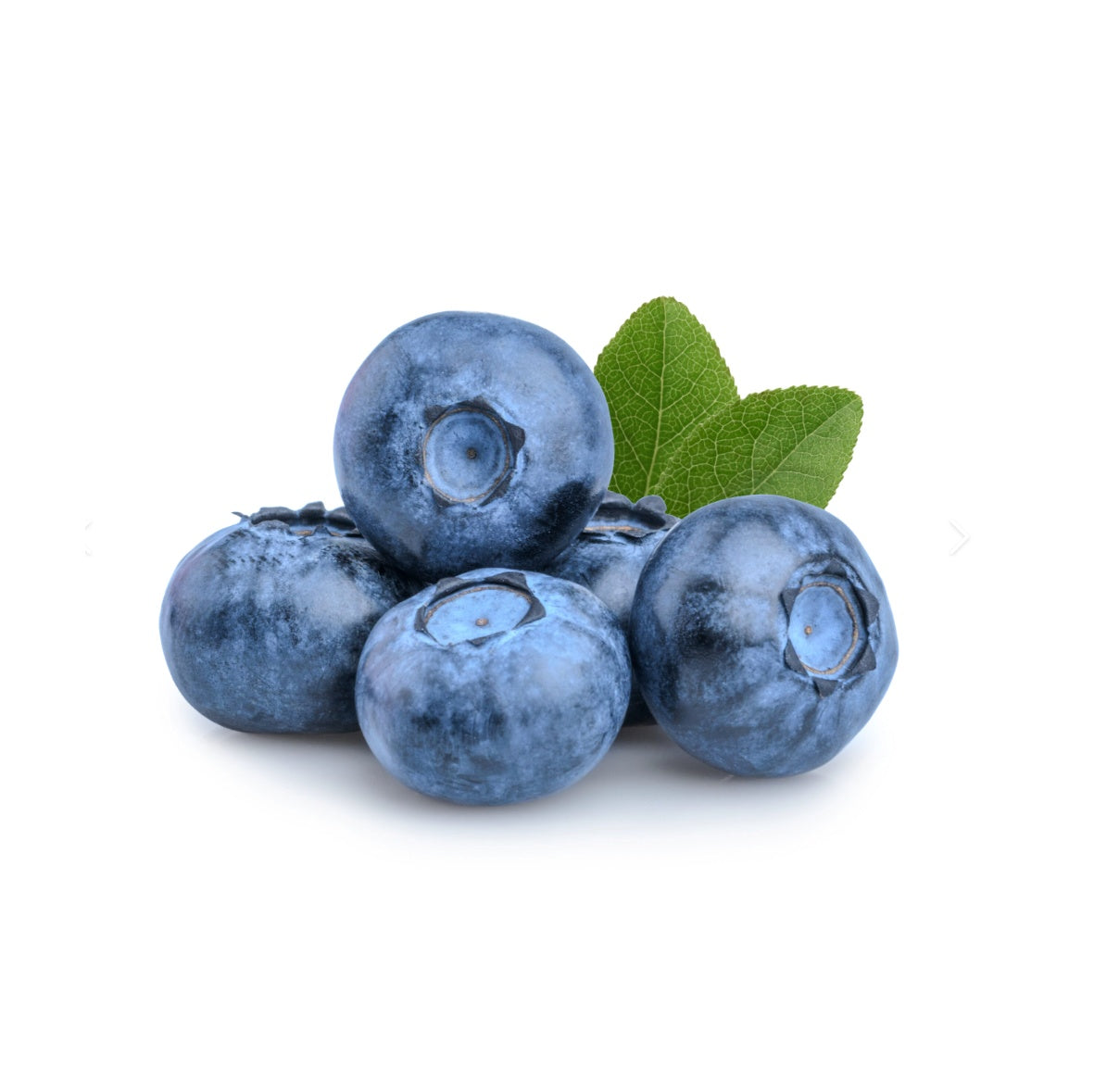 Buy Local Organic Blueberries Online | Terra Bella Montréal