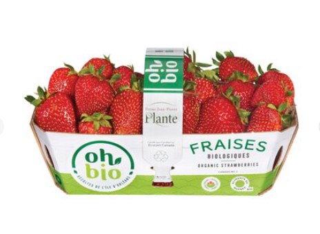 Local Organic Strawberries (1lb)