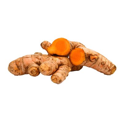 Curcuma - Frais